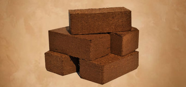 Coco Peat 650gm Briquettes